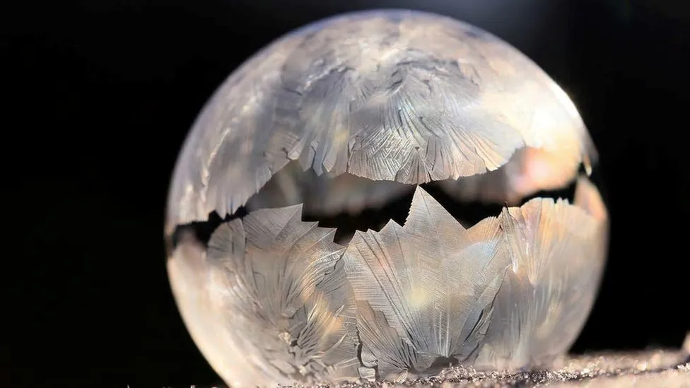 Menopausa - a Transformação Real